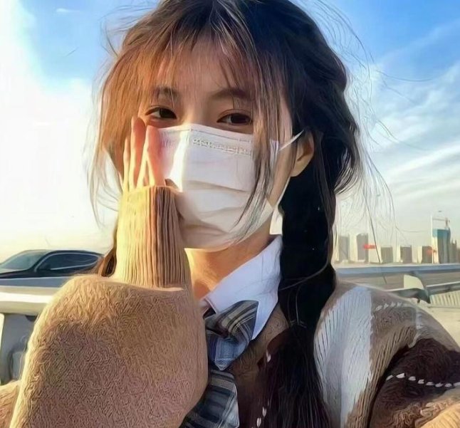 法国姑娘 封面