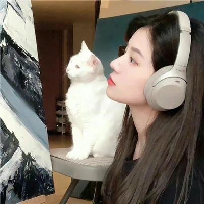 政治正确的你 封面